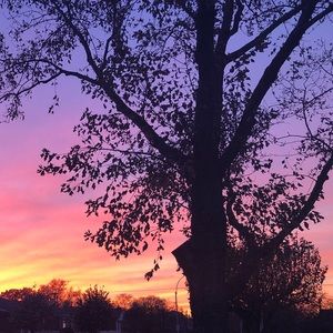 Meet your Posher, Gabby